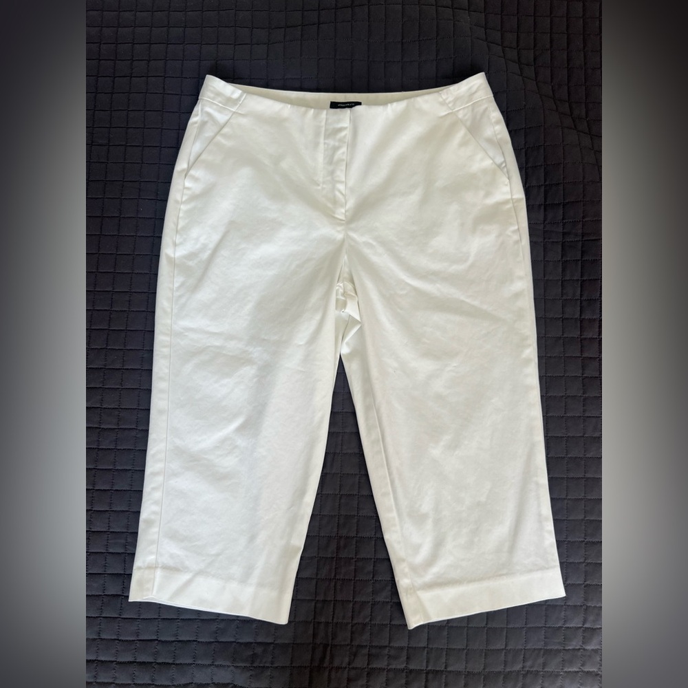 Worthington Women’s Capri Modern Fit Size 6 Petite. Used once.
